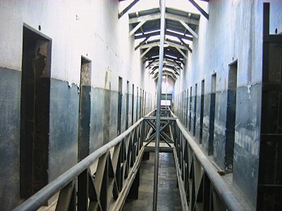 El Petizo Orejudo en su ley – del libro «Aventuras en mi caballo de fierro»